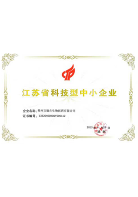 江苏企业网站发展大事记 从门户初建到数字生态演进